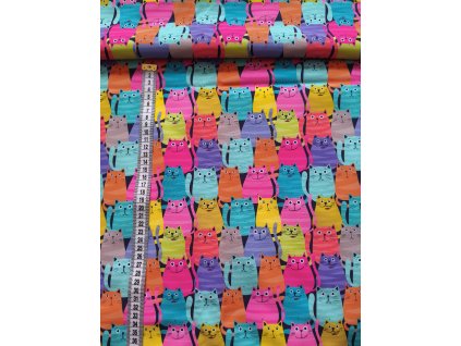 Zimní softshell Kočky