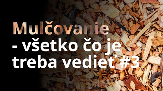 Mulčovanie – všetko, čo je treba vedieť