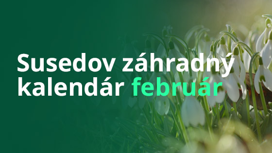 Susedov záhradný kalendár - február