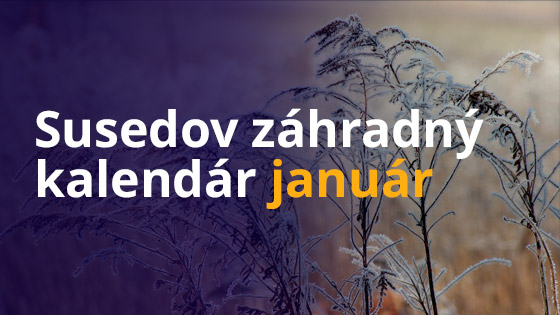 Susedov záhradný kalendár - január