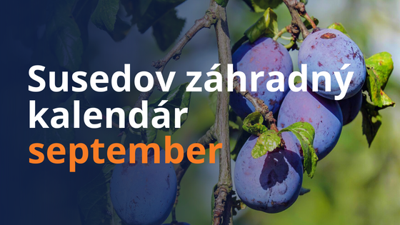 Susedov záhradný kalendár - september