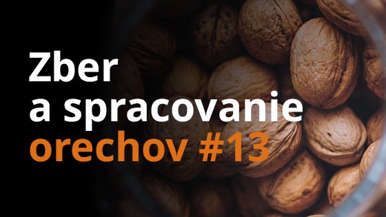 Zber a spracovanie orechov