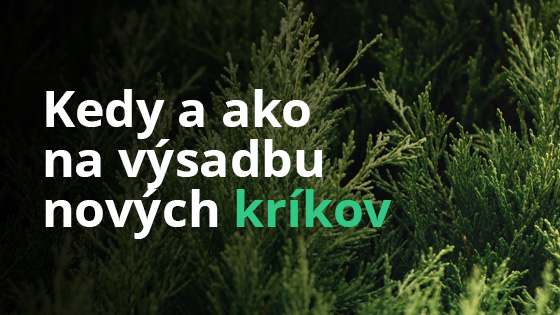 vysadba-krikov