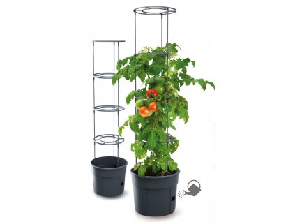 Kvetináč pre prestovanie paradajok a iných pnúcich rastlín, TOMATO GROWER 29,5 cm
