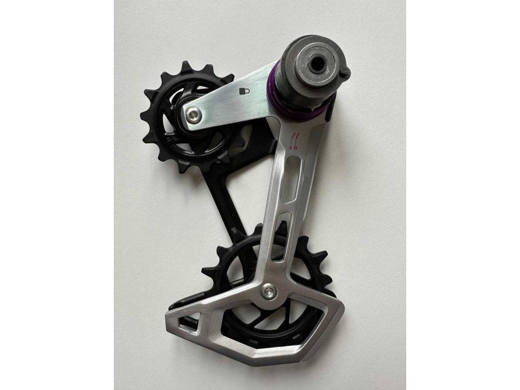 REAR DERAILLEUR CAGE ASSEMBLY KIT XX T-TYPE EAGLE AXS (FULL REPLACEMENT CAGE ASSEMBLY INCL