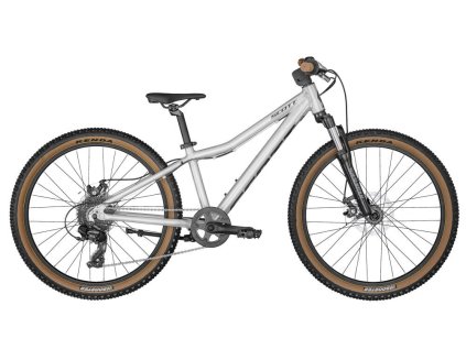 scott scale 24 disc