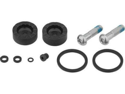 DISC BRAKE CALIPER PISTON SERVICE KIT - RIVAL AXS D1