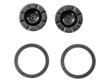 DISC BRAKE CALIPER PISTON KIT - (INCLUDES 2-18mm PISTONS a SEALS) REAR - RED22/700 B1
