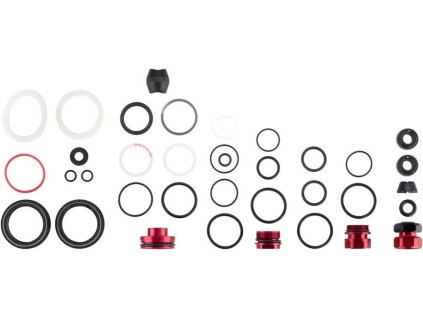 200hod/1rok servisní kit (v balení gufera, pěnové kroužky, o-kroužky, těsnění) - LYRIK BAS
