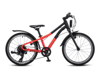 winora rage 20