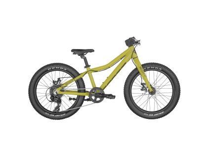 Scott  Roxter 20 green (Velikost 1 size, filtr Scott)