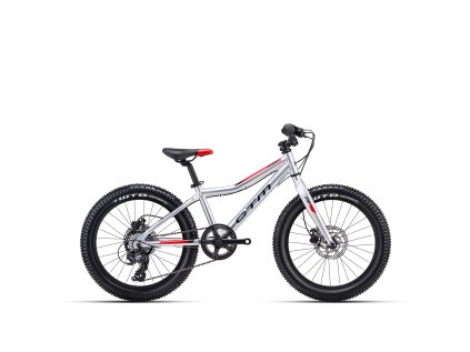 CTM JERRY 3.0 - stříbrná / červená (Velikost rámu 11")