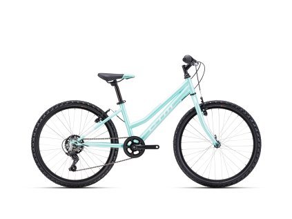 CTM MONY - matná tyrkysová perleť (Velikost rámu 13")