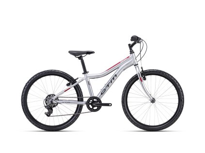 CTM ROCKY 1.0 - matná stříbrná / červená (Velikost rámu 13")