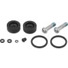 DISC BRAKE CALIPER PISTON SERVICE KIT - RIVAL AXS D1