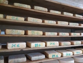 Dárková poukázka na sýr Konopáč v hodnotě 500,- Kč