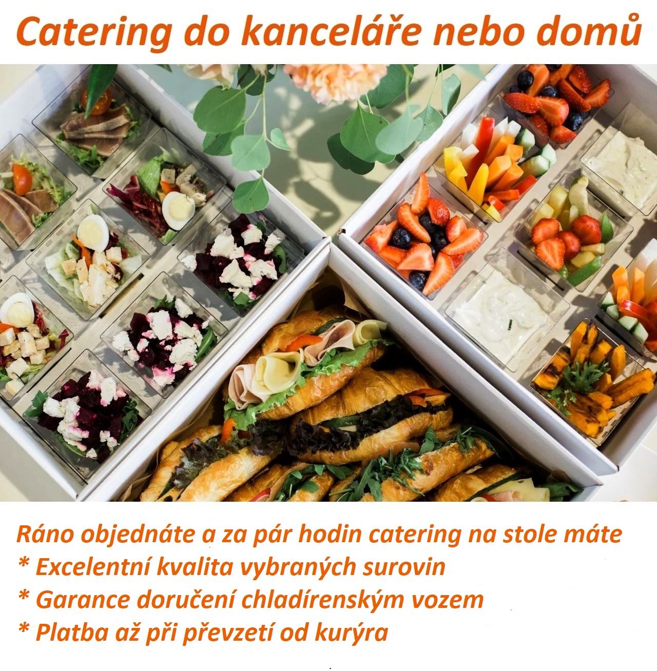 Catering do kanceláře nebo domů