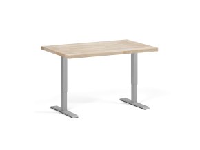 Výškově nastavitelný pracovní stůl do dílny, 2 motory, 1200 x 800 x 760-1230 mm, šedá podnož