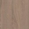 Kancelářská šatní skříň LAYERS, šatní tyč, 800 x 600 x 1905 mm, dub přírodní / dub mořený