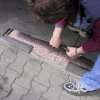 najezd vysoky nad pro plastove desky replast 43 mm 59023