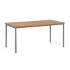 jidelni stul trivia 160x80 cm tmave seda podnoz buk 120000