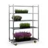 dansky kvetinovy vozik preklizkove vodeodolne police s odtoky 1350 x 562x 1890 mm 115862