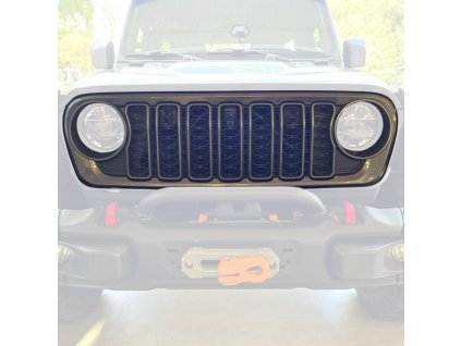 grille with camera hole ofd