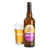 02 PIVO tropical sour