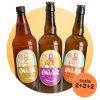 02 PIVO mango gose (1)
