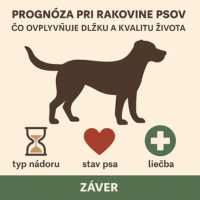 📊 Prognóza pri rakovine psov – čo ovplyvňuje dĺžku a kvalitu života
