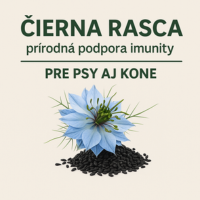 Čierna rasca pre psy a kone – podpora imunity a zdravia