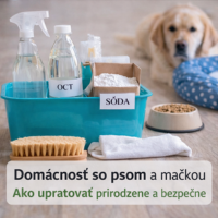 Čistenie domácnosti so psom a mačkou – prirodzene a bezpečne