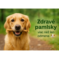 🐶 Ako vybrať zdravé pamlsky pre psov – 5 tipov od odborníkov