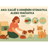 Ako správne začať s kŕmením nového domáceho miláčika
