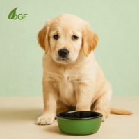 🐶 Ako zvládnuť hnačku u šteniatka prirodzene