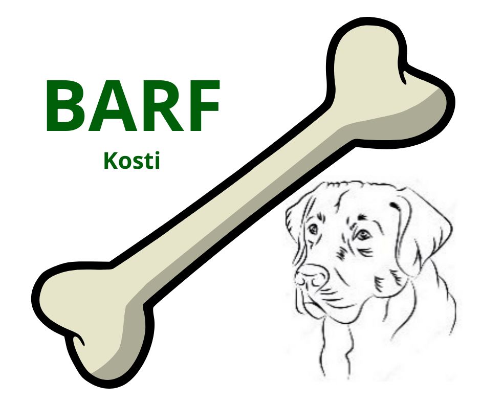 BARF Kosti v krmnej dávke a ich prínos pre zdravie psa