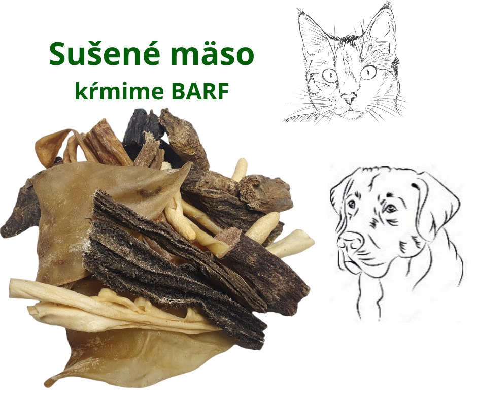 Sušené mäso krmíme BARF