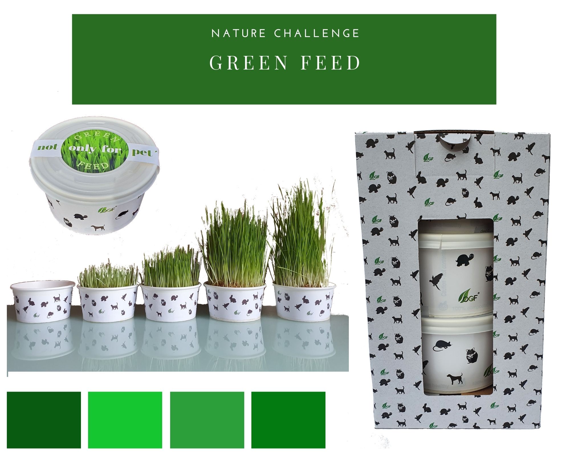 GREEN FEED podpora rovnováhy v organizme