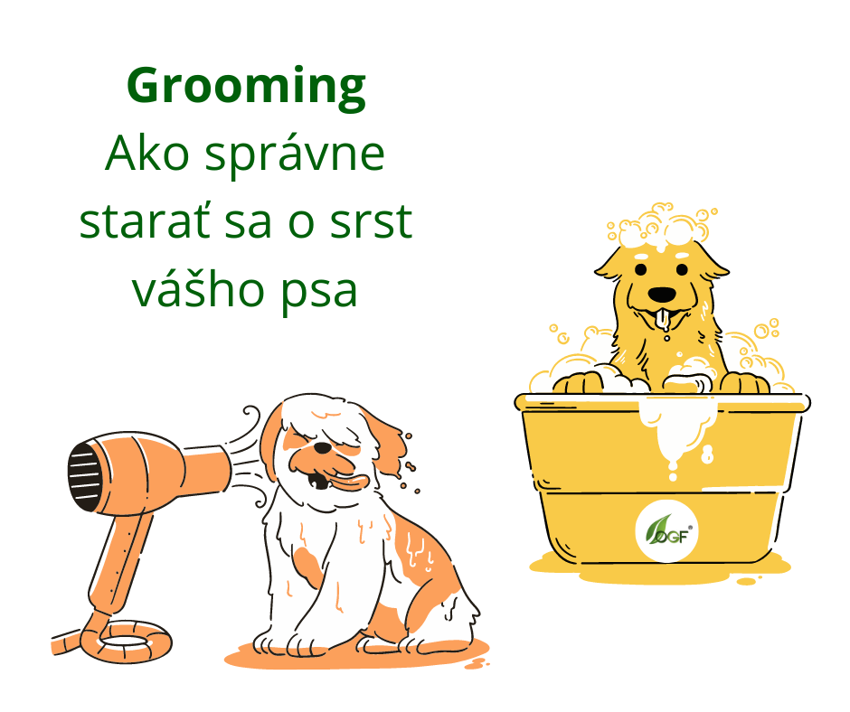 Grooming Ako sa správne starať sa o srst vášho psa