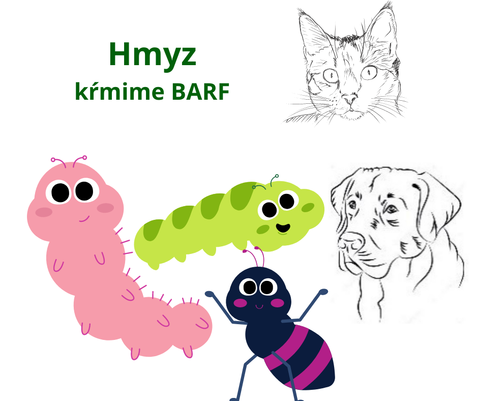 Hmyz pre psa a mačku áno alebo nie? Moderný výmysel?