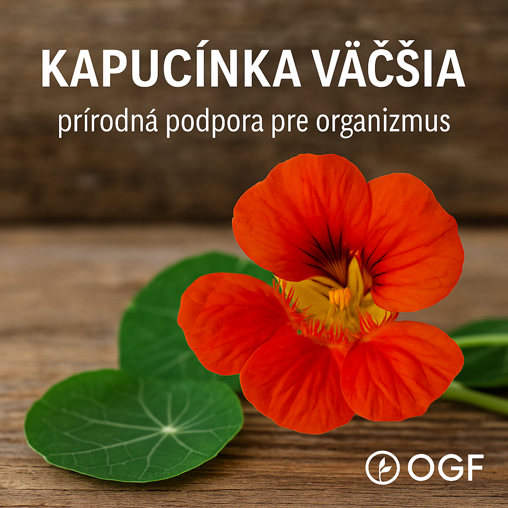 Kapucínka väčšia – bylinka pre prirodzenú podporu organizmu