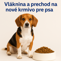 Má váš pes tráviace problémy? Možno mu chýba vláknina (a správny prechod na nové krmivo)