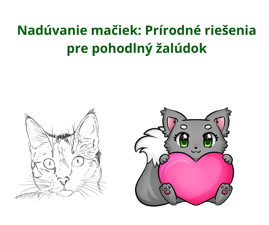 Nadúvanie mačiek: Prírodné riešenia pre pohodlný žalúdok