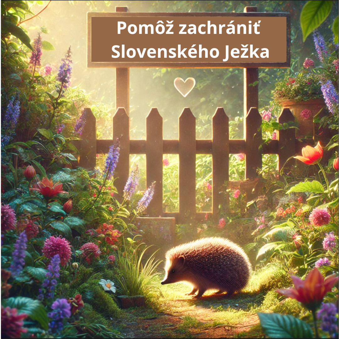 Záchrana Ježka – Druh, ktorý zo Slovenska mizne