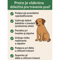 Prečo je vláknina dôležitá pri trávení psa