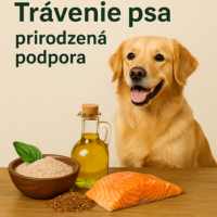 TRÁVENIE PSA – AKO MU PRIRODZENE POMÔCŤ