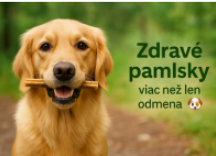 Zdravé pamlsky pre psov – viac než len odmena | OGF