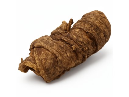 WRAP hovedzia trachea a pľúcami