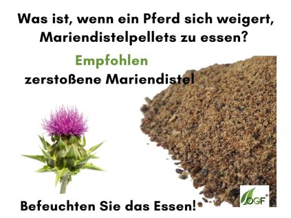 Ostropestrec mariánský-drť pre psa 400g