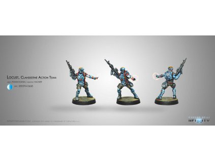 Locust, Clandestine Action Team (Hacker)